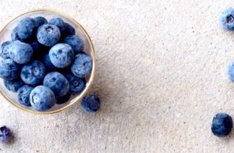 чем полезна черника для организма человека