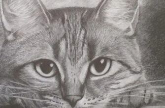 рисунок карандашом для начинающих поэтапно